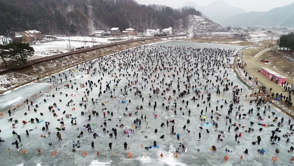 평창송어축제위원회 제공