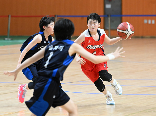 대한체육회 제공