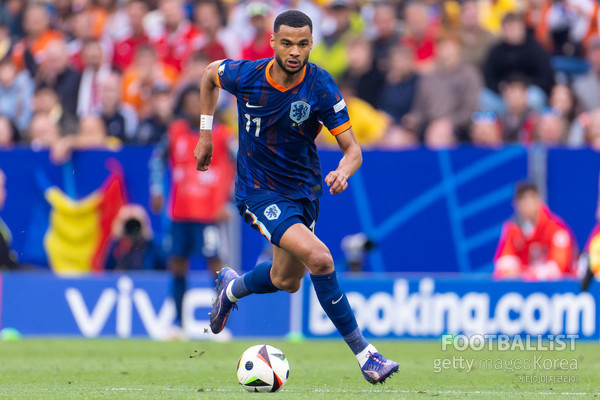 코디 학포(네덜란드). 게티이미지코리아